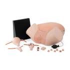 3B Scientific 1021592 SKINlike™ Gynecologic Skills Trainer - Light Skin Tone