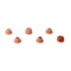 3B Scientific 1021593 Replacement Cervix Set for SKINlike™ Gynecologic Skills Trainer