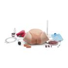 3B Scientific 1023727 Postpartum Hemorrhage Trainer PRO