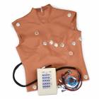 Simulaids 12-Lead Arrhythmia Simulator with Manikin Overlay - Physio - Medium