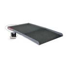 SB-1150 Series Rice Lake Summit™ Bariatric Wheelchair Scale