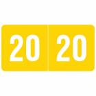 2020 SMYM Year Labels - Smead Compatible - Size 1/2" H x 1" W