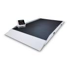 350-10-8S Series Rice Lake Digital Stretcher Scale