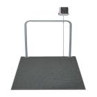 Rice Lake 204402 In-Floor Veterinary Scale, Front View