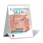 Understanding Skin Flip Chart