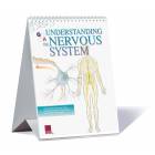 Scientific Publishing 2700F Understanding The Nervous System Flip Chart