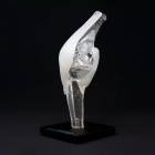 Bone Models™ 390300 Clear Anatomical Knee Display Model