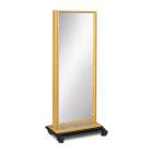Clinton 6210 Mobile Adult Mirror