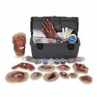 Xtreme Trauma Moulage Wound Kit