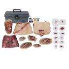 Simulaids PHTLS Casualty Simulation Moulage Wound Kit