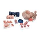 3B Scientific 8000878 Obstetrics Lab Pro Set