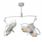 AIM-50 Dual Ceiling Procedure Light