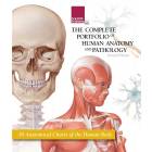 The Complete Portfolio of Human Anatomy and Pathology