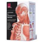 Anatomy & Physiology Flash Cards