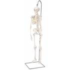Mini Skeleton on Hanging Stand