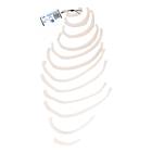 3B Scientific A69-2 12 Ribs of One Side Model - 3B Smart Anatomy