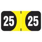 2025 Year Labels - Arden Compatible ADYM Series - Size 3/4" H x 1 1/2" W