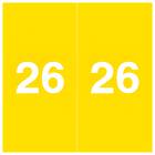 Arden Label AEYM-26-L5 Ames Compatible AEYM Series 2026 Year Labels - Size 1 7/8" H x 1 7/8" W