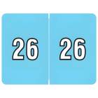 Arden Label AL8800-26-T3 DataFile Compatible AL8800 Series 2026 Year Labels - Size 15/16" H x 1 1/4" W