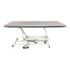 Pivotal Health AM-150 AM Hi-Lo Treatment Table with 1 Section and Casters