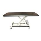 Pivotal Health AM-BAX1000 AM-BAX Hi-Lo Treatment Table, Bar Activated with 1 Section