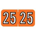2025 Year Labels - Amerifile Compatible ARYM Series - Size 3/4" H x 1 1/2" W