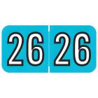 2026 Year Labels - Amerifile Compatible ARYM Series - Size 3/4" H x 1 1/2" W