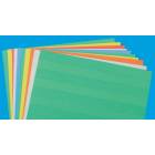 Full Sheet Data Cards - 1 3/4" H Perforated Line