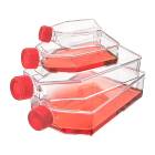 Diamond® SureGro™ Cell Culture Flask, Tissue Culture Treated with Plug Cap