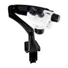 LW Scientific DMM-S12N-PA77 DM Dual Mag Binocular Stereo Microscope with Pneumatic Flex Arm