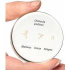 Life-Size Auditory Ossicles Embedded Model