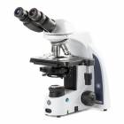 Globe Scientific EIS-1152-PLPHI iScope Binocular Compound Microscope, EWF 10x/22mm Eyepieces, Quintuple Nosepiece with Plan Phase PLPHi