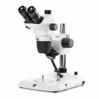 Globe Scientific ENZ-1703-P NexiusZoom EVO Trinocular Stereo Microscope, HWF 10x/23mm Eyepieces, Plan Achromatic 0.65x - 5.5x Zoom Objective, Pillar Stand