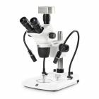 Globe Scientific ENZ-1703-PG-DC18 NexiusZoom EVO Trinocular Stereo Microscope, HWF 10x/23mm Eyepieces, Plan Achromatic 0.65x - 5.5x Zoom Objective, Pillar Stand, Two Gooseneck Arms, CMEX-18 Pro Camera