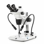Globe Scientific ENZ-1703-PG NexiusZoom EVO Trinocular Stereo Microscope, HWF 10x/23mm Eyepieces, Plan Achromatic 0.65x - 5.5x Zoom Objective, Pillar Stand, Two Gooseneck Arms