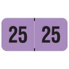 2025 Year Labels - PMA Fluorescent Violet - Size 3/4" H x 1 1/2" W