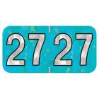 Arden Label HAYM-27-T4 PMA Holographic Aqua 2027 Year Labels - Size 3/4" H x 1 1/2" W
