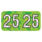 2025 Year Labels - PMA Holographic Lime - Size 3/4" H x 1 1/2" W