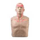 AERO Healthcare IM13-R Brayden Adult CPR Manikin with LED Lights