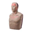 AERO Healthcare IM16-R Brayden PRO Adult CPR Manikin