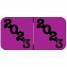 2023 Year Labels - Jeter Compatible - Size 3/4" H x 1 1/2" W - Purple Label