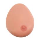 Single Breast Model with Benign Tumor