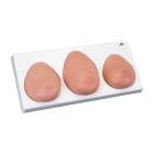 3B Scientific L55 SKINlike™ 3-Piece Breast Self-Examination Model on Base - Light Skin Tone
