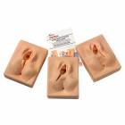 Life/form Episiotomy Suturing Simulators - Set of 3