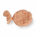 Life/form Human Fetus Replica - 7-8 Weeks
