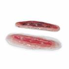 Life/form Moulage Wound - Incisions Simulator - Set of 2