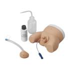 Nasco LF01035 Infant Male and Female Catheterization Trainer