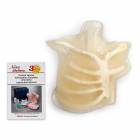 Life/form CVC Simulator Bone and Muscle Replacement Kit