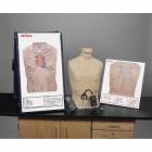 Deluxe Life/form Auscultation Training Station