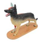 Nasco MG20117 Domestic Canine Anatomy Model, 11 Parts - Angle 1